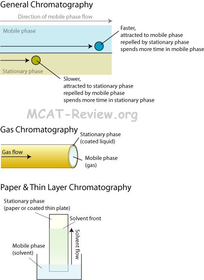 chromatography principles