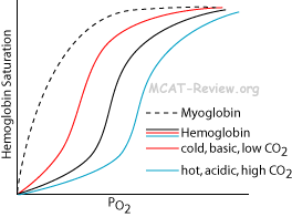 hemoglobin binding curve for oxygen