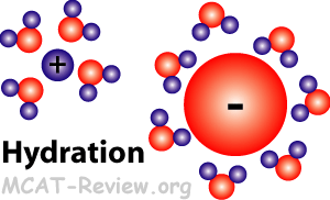 hydration / solvation