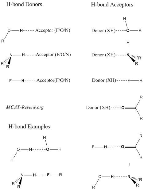 hydrogen bond: donors, acceptors and examples