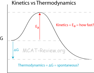 kinetics vs thermodynamics
