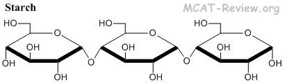 starch molecule