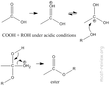 COOH esterification mechanism