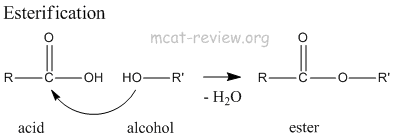 esterification