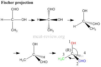 fischer projection