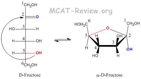 fructofuranose