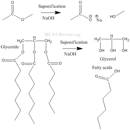 saponification