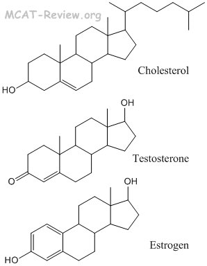 steroids: cholesterol, testosterone, estrogen