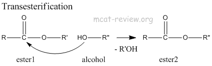 transesterification