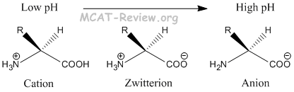 zwitterion